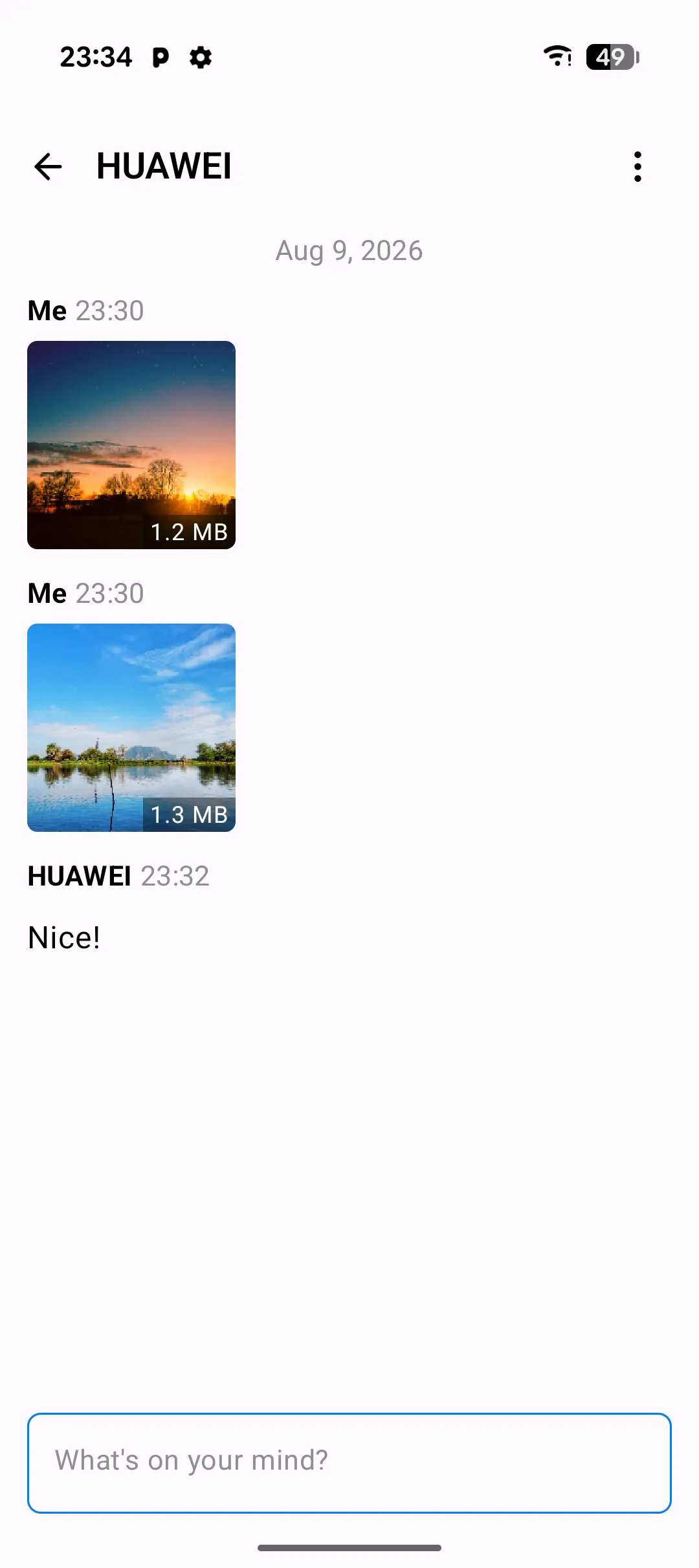 Screenshot: Chat